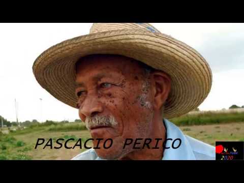 El Parrandero y La Sombra (Leyenda Venezolana, MUY ESCALOFRIANTE QUE TE PONDRÁ LA PIEL DE GALLINA)