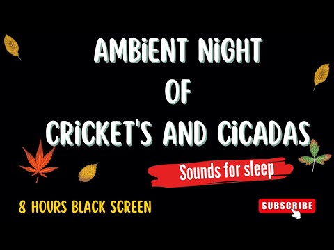 Ambient Sounds of Cricket's and Cicadas at Night - 8 Hours Black Screen for Sleep