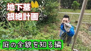 【庭の手入れ】地下茎根絶！その前に地上を開拓する！【ガーデニング】【初心者注意】【雑草】