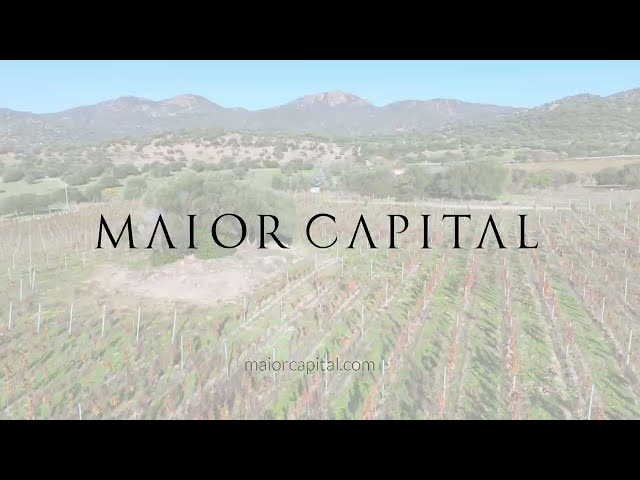 Oliena | Azienda vitivinicola con 10 ettari di terreno