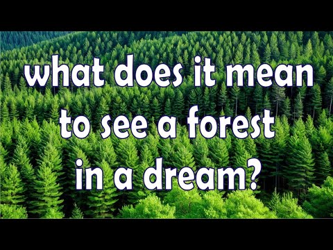 what does it mean to see a forest in a dream? / symbol and meaning
