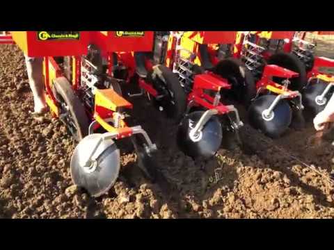 CHECCHI & MAGLI - FOXDRIVE PLUS 4 RANGS FRANCE - PLANTATION ROSIERS