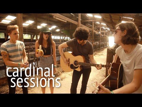 Findlay - Off & On - CARDINAL SESSIONS (Appletree Garden Special)