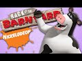 WAIT Remember Back At The Barnyard