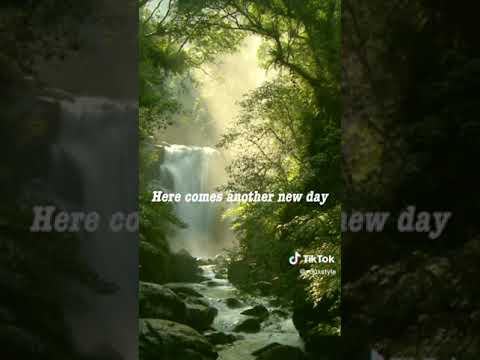 Criminally underrated song