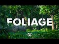 Foliage in Unreal Engine 5 | Beginner Tutorial