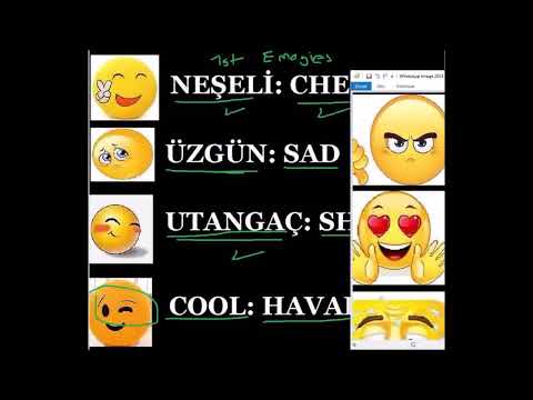 THE MEANING OF THE EMOGIES- LEARN TURKISH- LESSON 11#turkishseriesinenglish #turkishcourse #turkiye