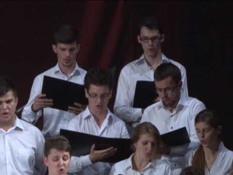 Vasile Spatarelu - CHIOT