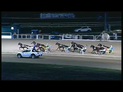 Trotto 28/08/2020 - 8ª corsa