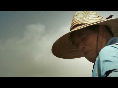 South Korean fishermen harvesting seafood from mud