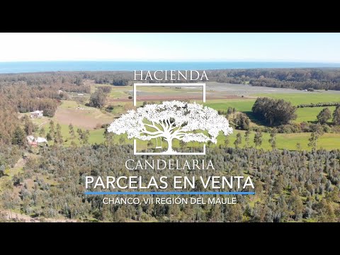 Parcelas Hacienda Candelaria Chanco