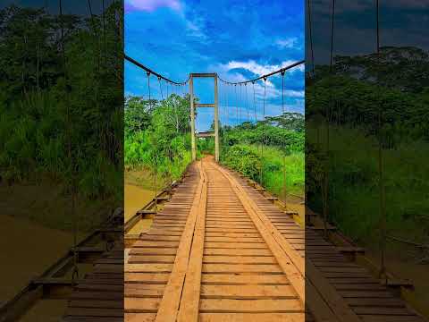 Iberia, tahuamanu. #music #cat #viral #nature #madrededios