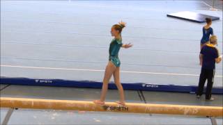 TSV Berkheim, 3.Bundesliga, 2015 Mannheim