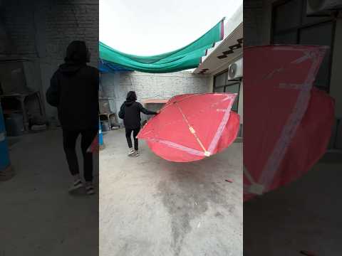 Itana bara guda pkr lia 😍 #viral #short #kiteflying #youtubeshorts