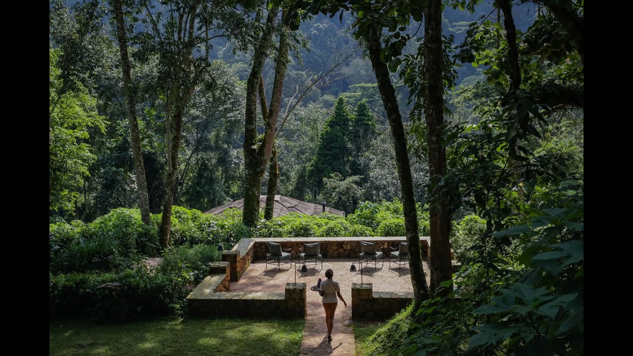 Volcanoes Safaris Bwindi Lodge 2022