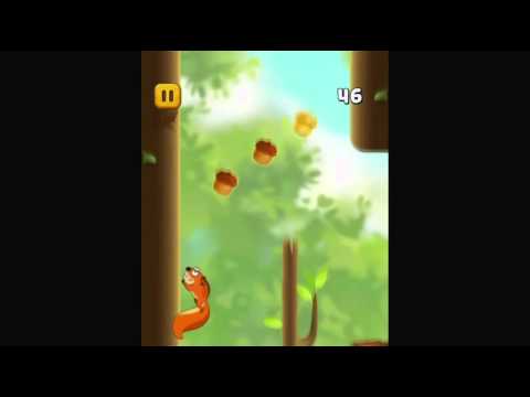 Jumpy Squirrel Video