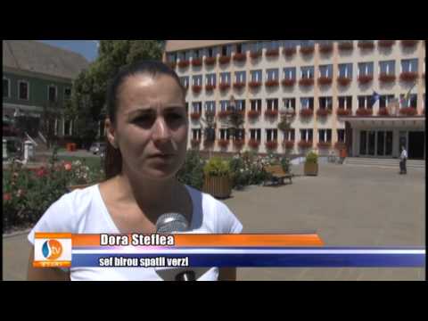 STV News 20.07.2013