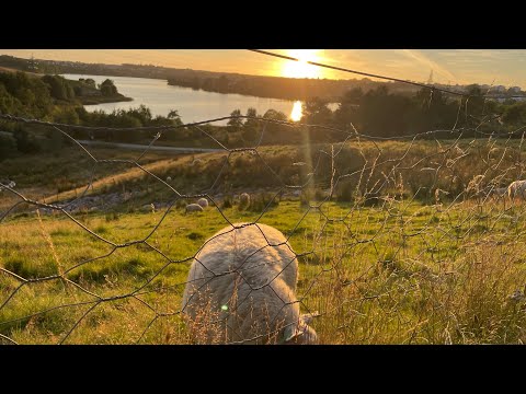 Sandnes Bogafjell Sunset | Drone Shot | #djiair2s #norway  #droneshots #creatingmemories #sandnes