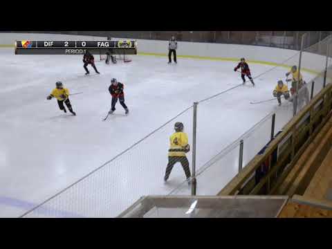 Farsta Hockey Games 2018 - Bronsmatch mot Fagersta AIK Team 06