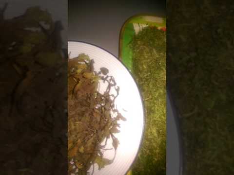 How to Preserve your Green Leafy Vegetables