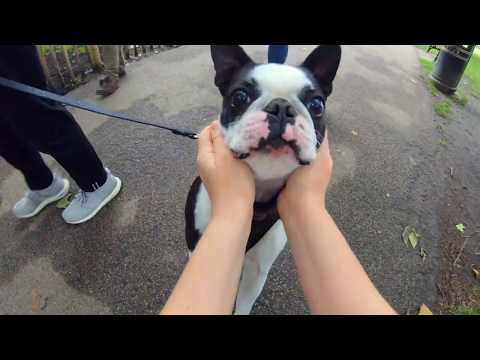 Jaz Kahina - Quitter Pemix [Prod. Nutty P]