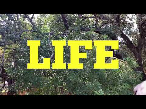 JOEY MAR$ - Don't Be Afraid (OFFICIAL MUSIC VIDEO)