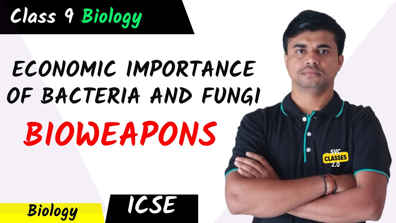 BIOWEAPONS | ECONOMIC IMPORTANCE OF BACTERIA AND FUNGI | CLASS 9 ICSE |