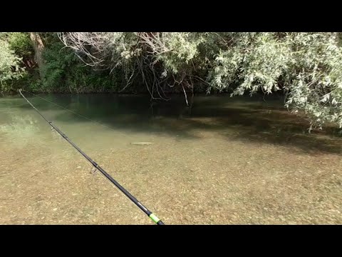 Pe Cărări de Poveste la Prut!                                    Clean August 2022