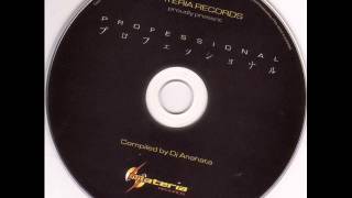 VA  - Professional-compiled by Dj Anahata 2010