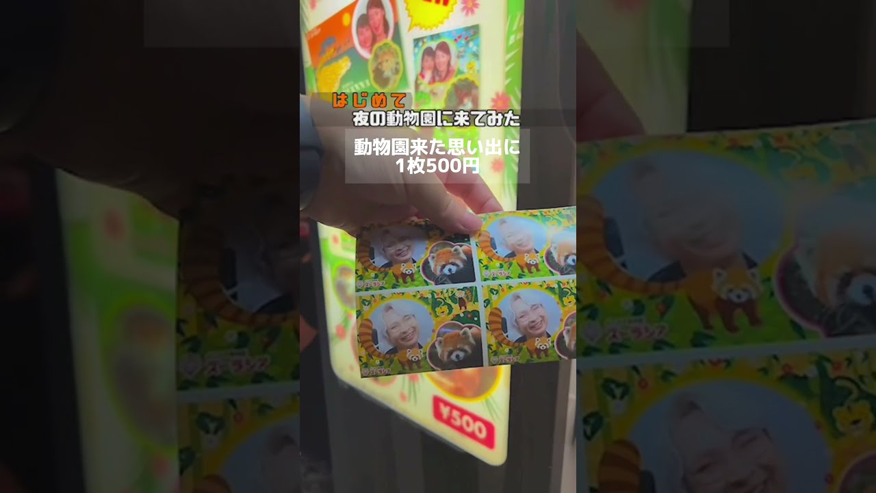 夜の動物園は楽しいのか行ってみた #ナイトズー #vlog