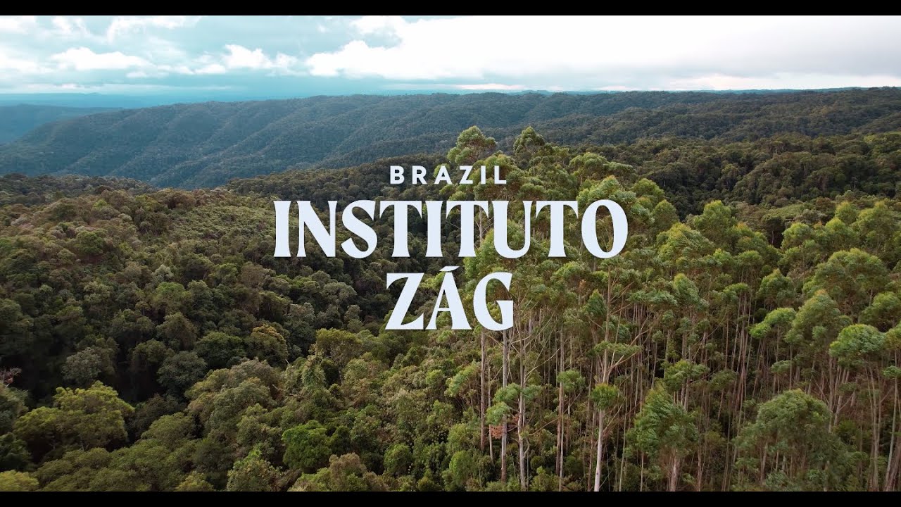 Project video