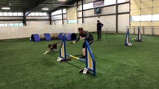 Oz - Spring Fling - 10 months