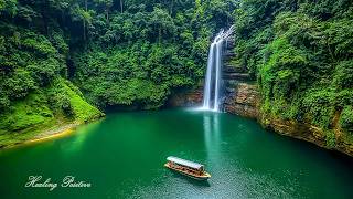 Healing Music to Relieve Stress, Fatigue, Depression, Negativity, Detox negative emotions #25