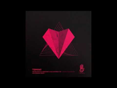 Peter Makto & Gregory S feat.  Antonia Vai - Secret Passion (Big Room Version)