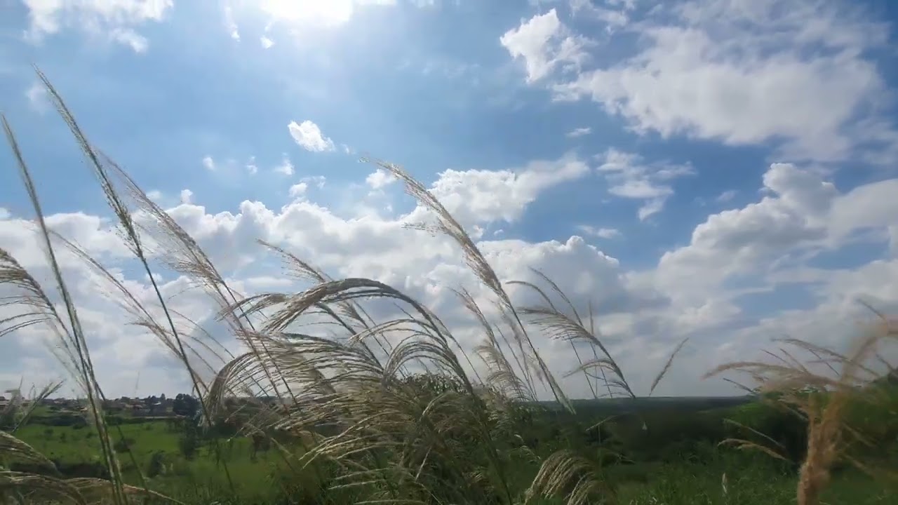 Queres saber como eu te amo?  Elizabeth Barrett Browning int Roberto Samuel. Narrativas Compart 0208