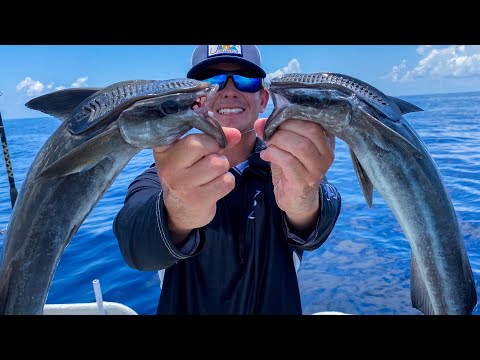 CRAZY Suction Cup Fish! Catch Clean cook- (Remora Trash Fish Taste Test)