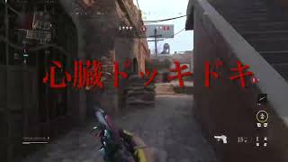 結局サーチアンドデストロイが好き