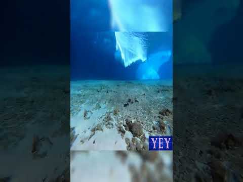 Underwater Footage of a Tsunami Wave #Rare #YesEpicYes #BigWaves #AI