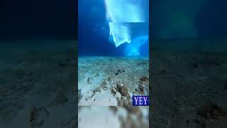 Underwater Footage of a Tsunami Wave #Rare #YesEpicYes #BigWaves