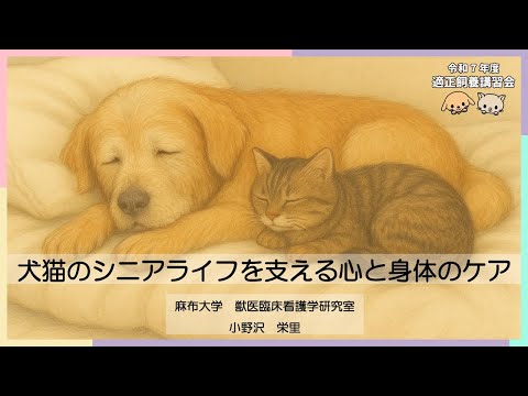 犬猫の問題行動とその予防 ～家族みんなハッピーを目指し ｜東京動画