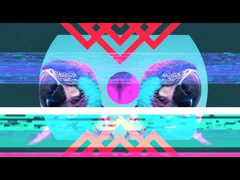 Bassnectar & Gnar Gnar - I'm Up ft. Born I ◈ [Reflective]