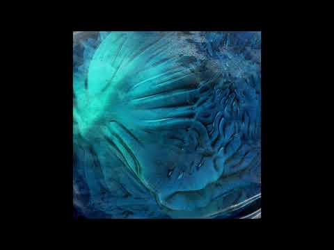 PREMIERE: INVŌKER - Drainer (DC Salas Remix) [TAU]