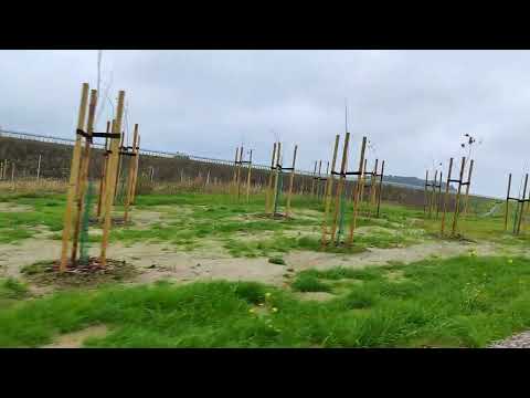 Przejazd wzdłuż trasy głównej od km 626+800 do 627+200