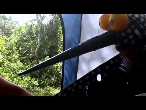 Mc Doug Do 40- Funk Do Mosquitinho (GutoMovies)