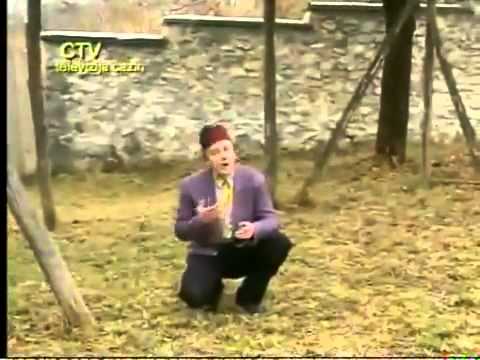 CAZINSKA AUDICIJA 2013 - SEVDALINKA