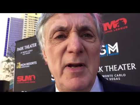 Meet Noah Goldman, president of the new Ultimate Sumo League