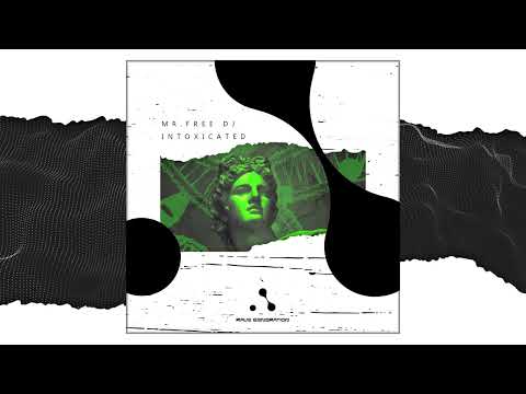 MR.FREE DJ - INTOXICATED