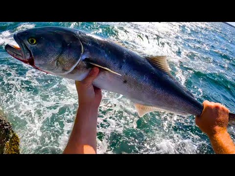 Shore Fishing Rhode Island For Bluefish, Fluke & Whatever Bites