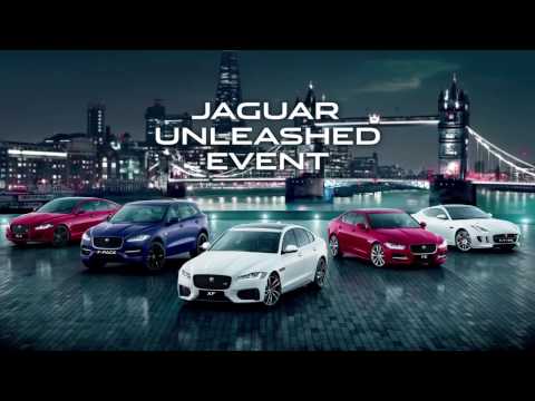 Concord Jaguar The Unleashed Event