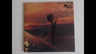 pretty things     &quot; the good mr.square &quot;     2019 mix